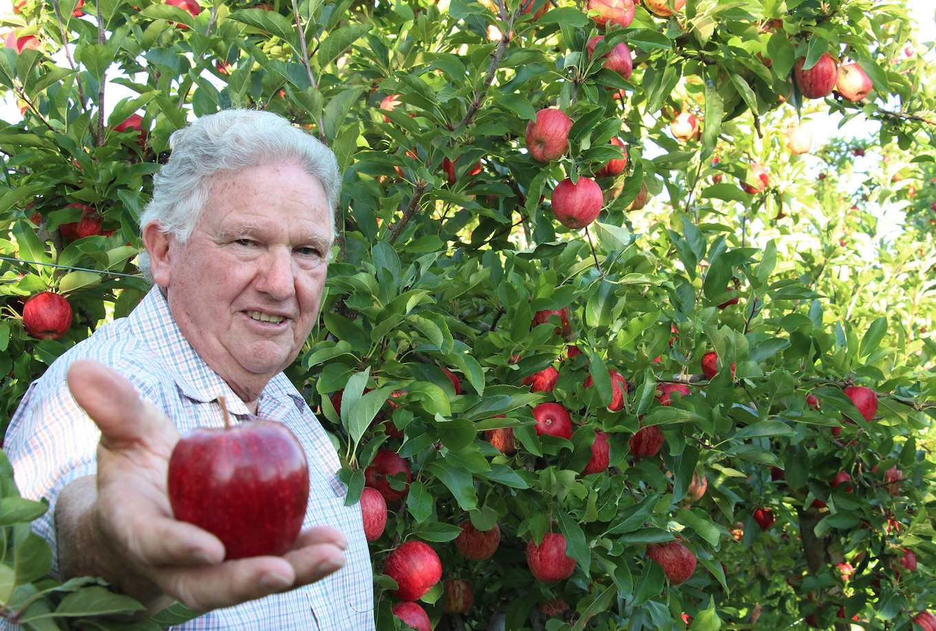 Stellar New Zealand season growing best apples in the world Attn